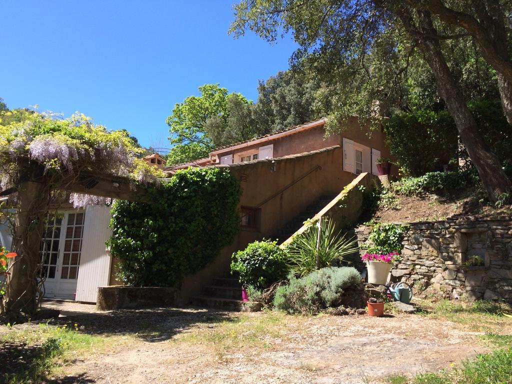 B&B Lei Bancaou La Garde-Freinet Ngoại thất bức ảnh